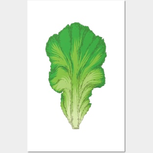 Lettuce Posters and Art